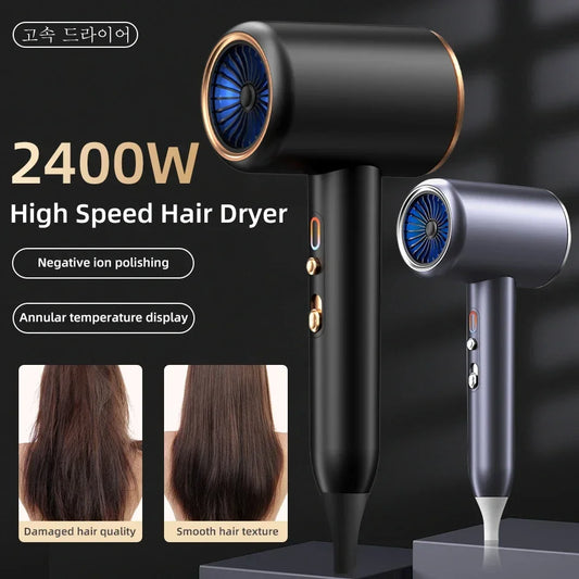 Professional 2400W Hair Dryer